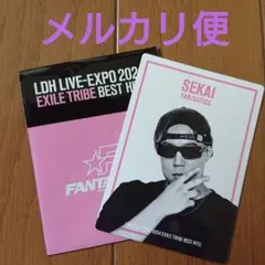 LDH EXPO 世界 フォトカード