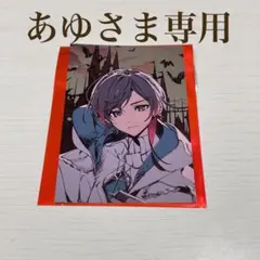 あゆ様専用 2枚セット