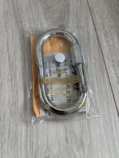 Item thumbnail for item 26aaad19-5e90-4275-9d5e-0eaac4cc4192