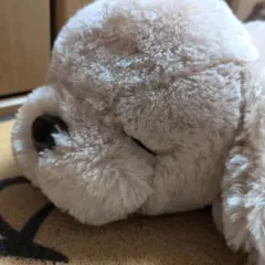 ぬいぐるみ　いねむりレトリーバーくん　タグ付き　犬　ふわふわ