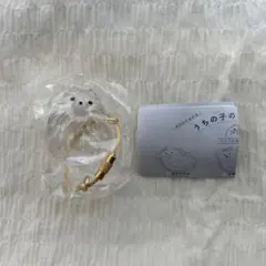 うちの子のけだまだま　ポメラニアン