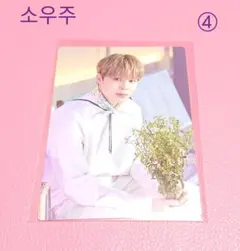 BTS 防弾少年団 소우주 SOWOOZOO ソウジュ ミニフォト ジミン ④