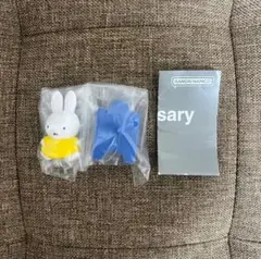 Item thumbnail for item 7ba057d6-99b9-45b1-8e23-50e3abe0deae