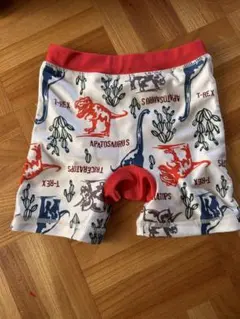 恐竜柄ベビー水着（男の子）95cm未満