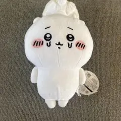 Item thumbnail for item 64cc2674-83b0-475e-b68f-070555e85b1c