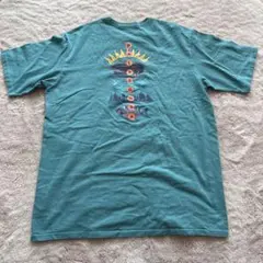 【最終値下げ】patagonia バックプリント Tシャツ M