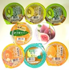 えひめ中央農業協同組合 果肉入りフルーツゼリー＆国産果肉入りいちじくのサムネイル
