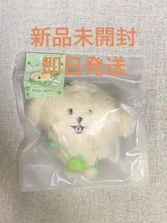 2025年最新】STeADY md ジェヒの人気アイテム - メルカリ