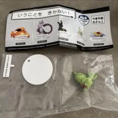 ポケモン　いうことをきかない！　ヨーギラス