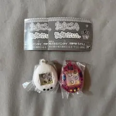 たまごっち　シャカシャカチャームコレクション　2点セット