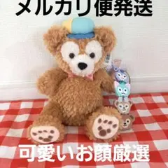 【新品タグ付き】ディズニー ダッフィー ハートウォーミング ぬいぐるみポシェット