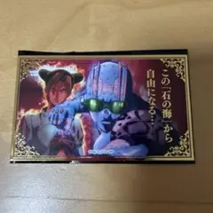 ジョジョの奇妙な冒険 原作 ジャンプフェスタ フォトカードbook 空条徐