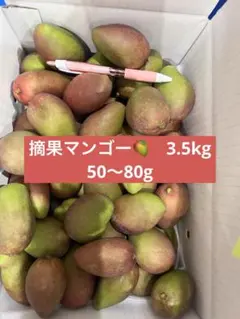 摘果マンゴー 3.5kg【農家直送】 - メルカリ