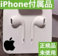 iPhone 純正イヤホン  Apple正規品 ライトニング 純正品 未使用のサムネイル