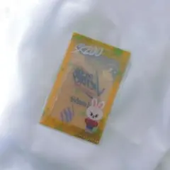 straykids リノ skzoo リービット マルチケース