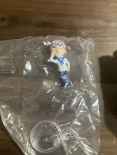 ワンピの実　カク　コビー