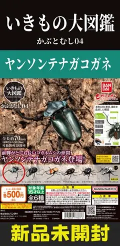 2026年最新】テナガコガネの人気アイテム - メルカリ