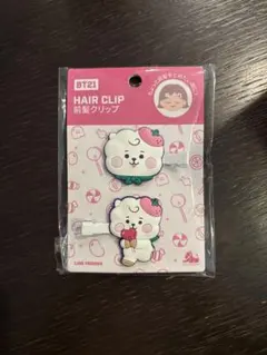 BT21 ヘアクリップ 2個セット　RJ