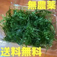 ミラノ様 リクエスト 2点 まとめ商品