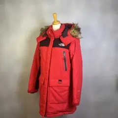 人気☆THE NORTH FACE 　サミットシリーズ ダウンジャケット　436