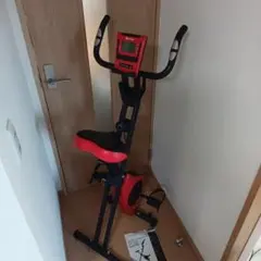 STEADY　エアロバイク　ST-102　フィットネスバイク