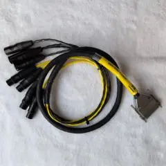 Item thumbnail for item 0e7e31d6-e49c-419e-88fb-a53d8ef52968