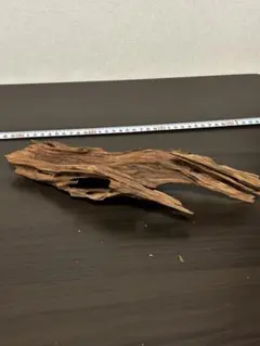 流木　ホーンウッド　アクアリウム　レイアウト