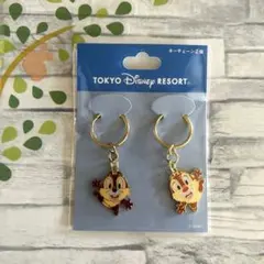 ディズニーランド　チップとデール キーホルダー 2個セット