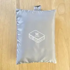 Item thumbnail for item 105335e3-8737-43dc-aaa6-19bf287fb2b7