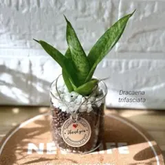 akiko様 リクエスト 3点 まとめ商品