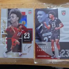エバデダン ラリー バレーボール 日本代表 カード 2枚セット