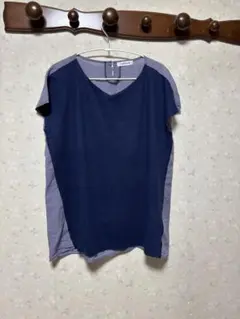 Item thumbnail for item 9c56ef57-54bb-44d9-b05a-d3ecf8934128