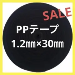 Item thumbnail for item f85180aa-571e-4960-a472-8415ba5d8556