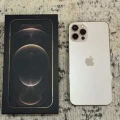 iPhone12 Pro 512GB
