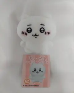 さともん(・ω・)様 リクエスト 2点 まとめ商品