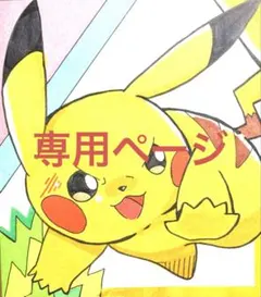 《☆ぼんちゃん様専用☆》