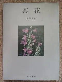 Item thumbnail for item 5e644bcf-5433-4a7d-af1c-89052f5fe56a