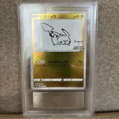 【ars10】ポケカ ピカチュウ yu nagaba プロモ スペシャルセット