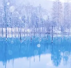 にゃんN様 リクエスト 2点 まとめ商品