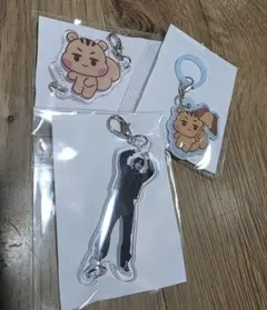 MyGO!!!!! フライトタグ&ツーピースアクキー 千早愛音 長崎そよ - メルカリ