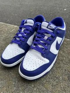 Nike Dunk Low Retro Concordブルー　パープル　箱無し