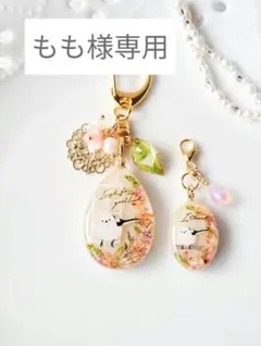 もも様専用ページ