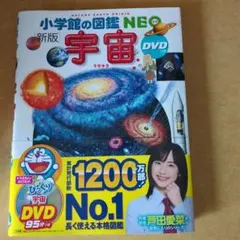 Item thumbnail for item 884541fc-96b8-4418-adf4-e0f0b26126e6