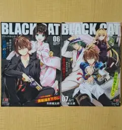 BLACK CAT コンビニコミックス 6巻 7巻セット 矢吹健太朗