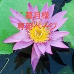 暮月様の専用ページ ルミエーブル　ブラック　レース　くねくね持ち手　タッセル付き