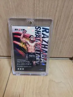 ライコレ リアルカード 秋元強真 ラジャブアリ・シェイドゥラエフ2枚