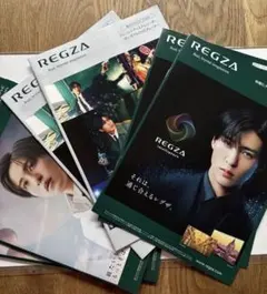 3種類！6冊セット！SnowMan目黒蓮　REGZAカタログ　　まとめ売り　めめ