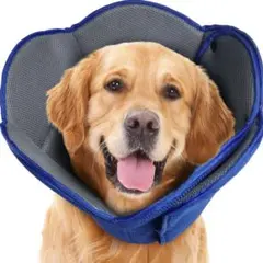 Item thumbnail for item 72122d54-3522-451a-9e1e-d18d1e422928