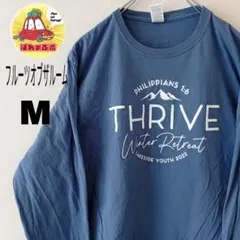 USA古着 フルーツオブザルーム　ロンT　ロングTシャツ　M　ブルーのサムネイル