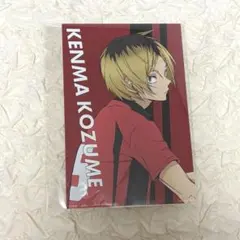 Item thumbnail for item 1711f18a-79b1-456d-ab36-0300493fe8f7